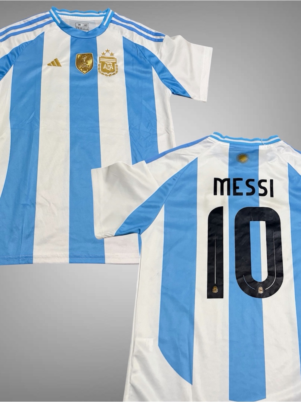 Argentina National Team Messi #10  FIFA 2022